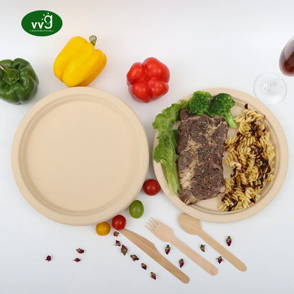 EcoDrop PFAS-Free Bamboo Pulp Plates – 10" Compostable Dinner Plates-1